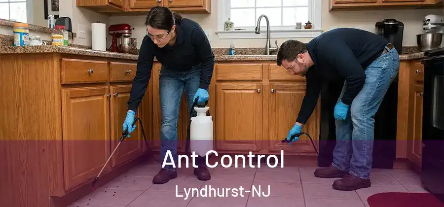 Ant Control Lyndhurst-NJ
