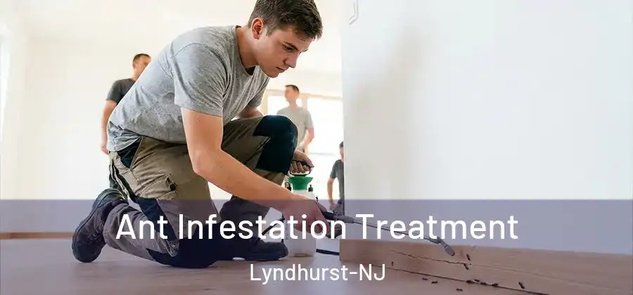 Ant Infestation Treatment Lyndhurst-NJ