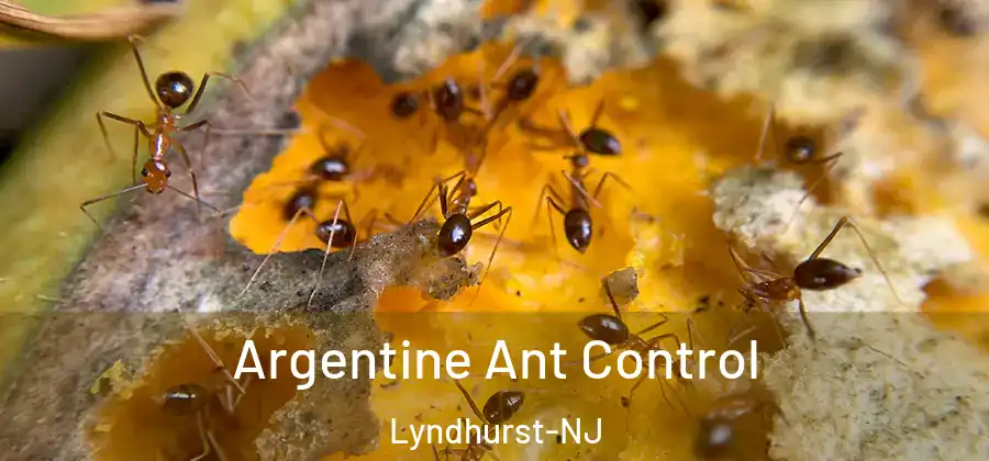 Argentine Ant Control Lyndhurst-NJ
