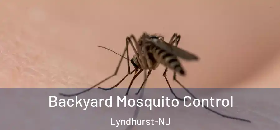  Backyard Mosquito Control Lyndhurst-NJ