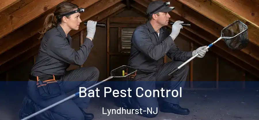 Bat Pest Control Lyndhurst-NJ