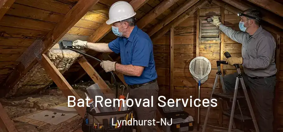 Bat Removal Services Lyndhurst-NJ
