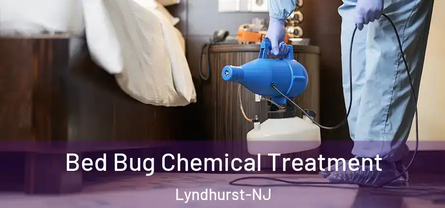  Bed Bug Chemical Treatment Lyndhurst-NJ
