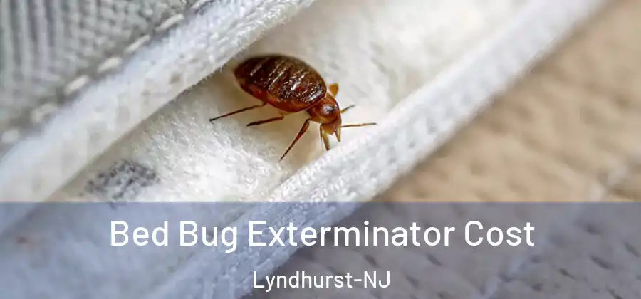  Bed Bug Exterminator Cost Lyndhurst-NJ