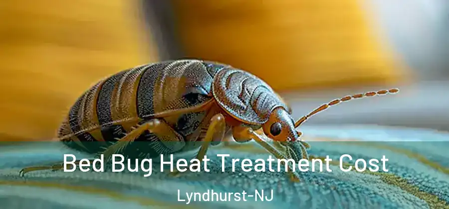  Bed Bug Heat Treatment Cost Lyndhurst-NJ