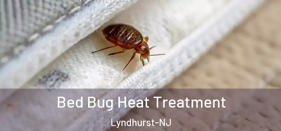  Bed Bug Heat Treatment Lyndhurst-NJ