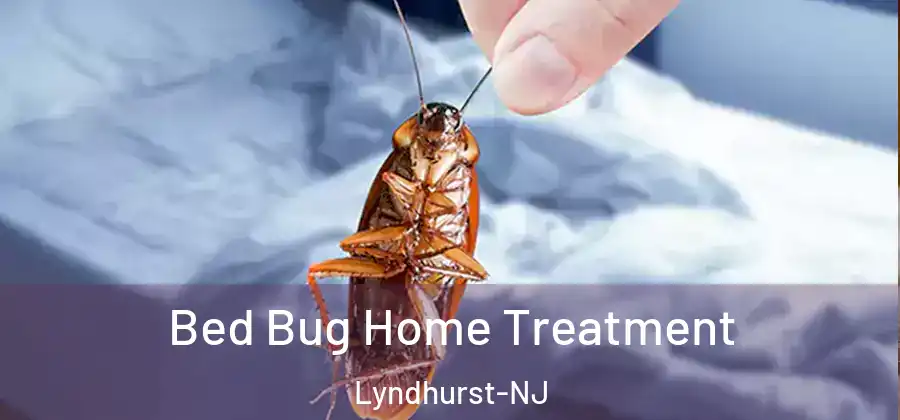  Bed Bug Home Treatment Lyndhurst-NJ