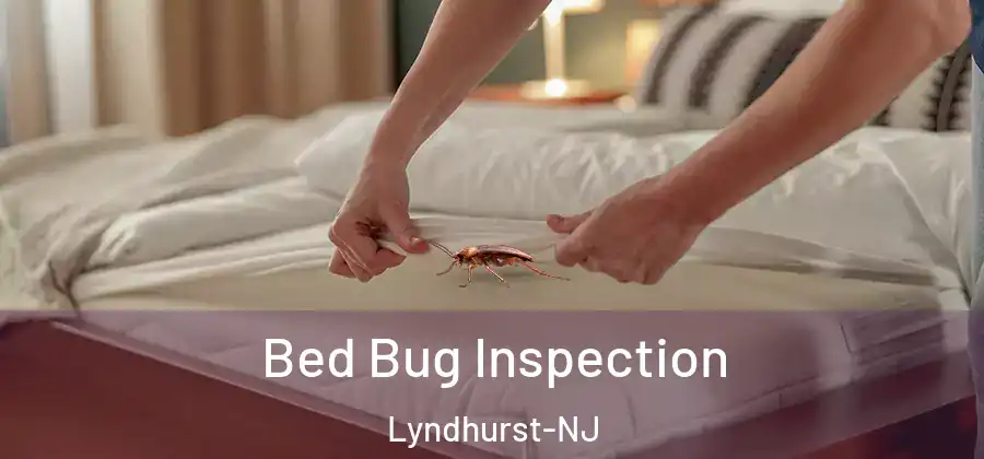  Bed Bug Inspection Lyndhurst-NJ