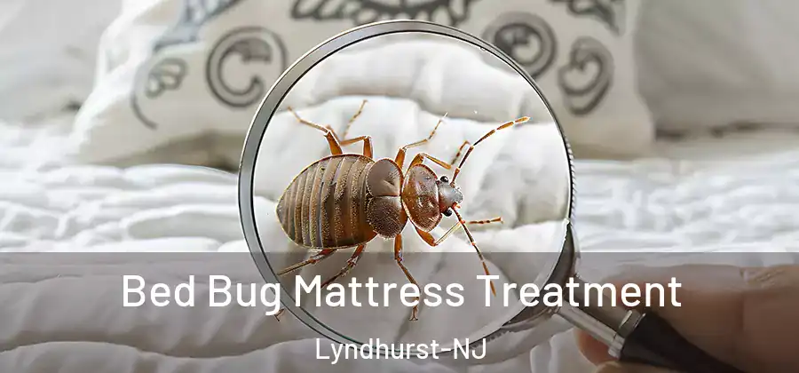Bed Bug Mattress Treatment Lyndhurst-NJ