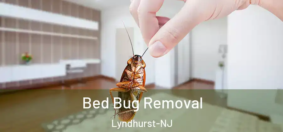 Bed Bug Removal Lyndhurst-NJ