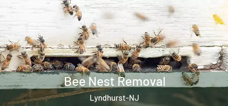 Bee Nest Removal Lyndhurst-NJ
