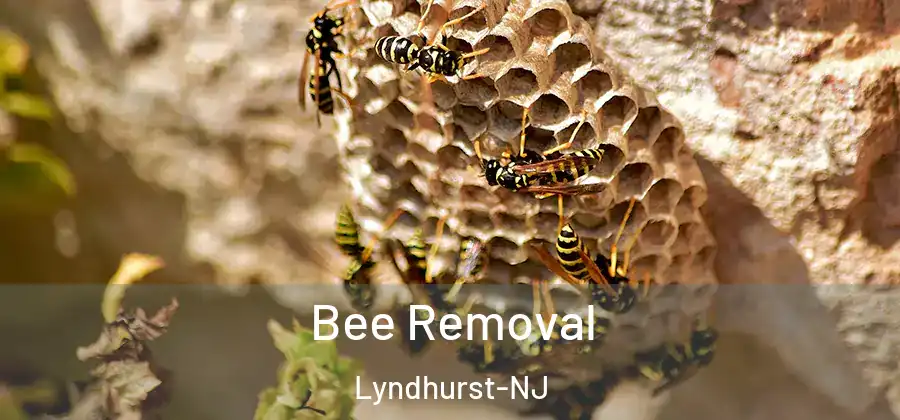 Bee Removal Lyndhurst-NJ