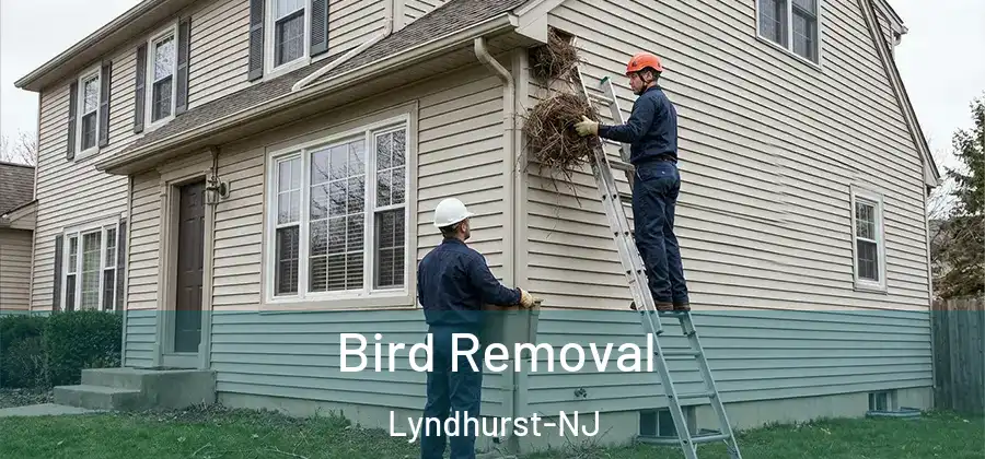 Bird Removal Lyndhurst-NJ