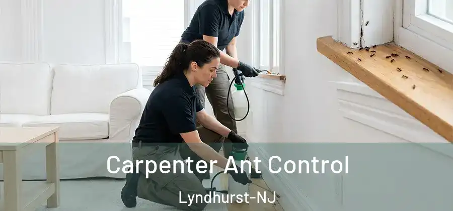  Carpenter Ant Control Lyndhurst-NJ