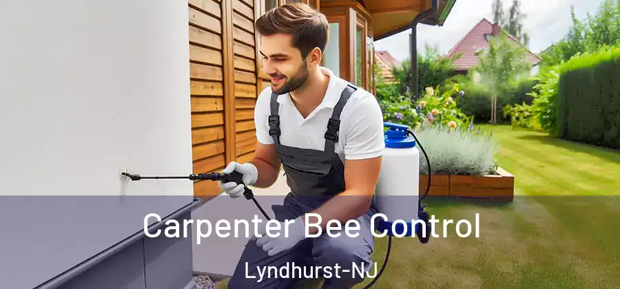Carpenter Bee Control Lyndhurst-NJ