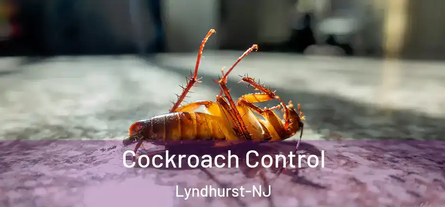  Cockroach Control Lyndhurst-NJ