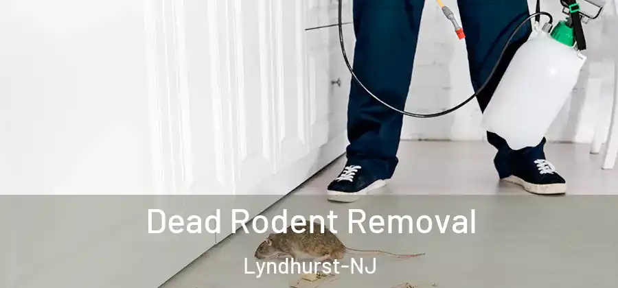  Dead Rodent Removal Lyndhurst-NJ