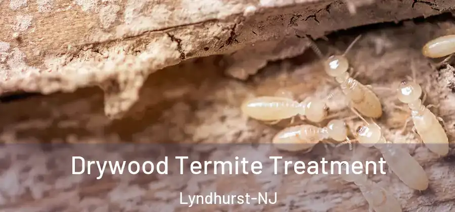  Drywood Termite Treatment Lyndhurst-NJ