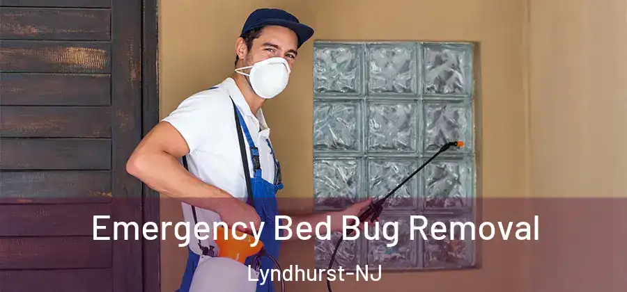 Emergency Bed Bug Removal Lyndhurst-NJ