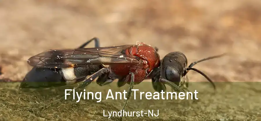 Flying Ant Treatment Lyndhurst-NJ