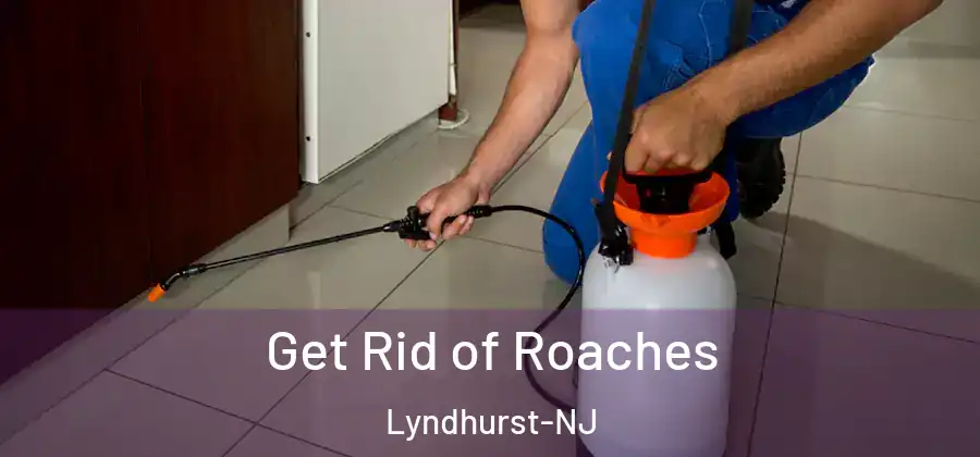 Get Rid of Roaches Lyndhurst-NJ
