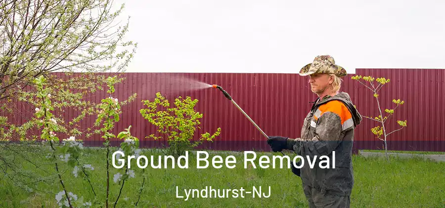 Ground Bee Removal Lyndhurst-NJ