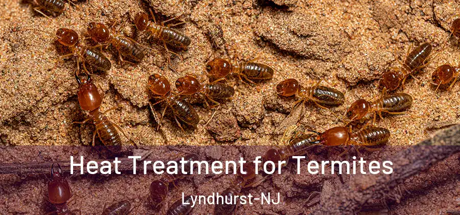  Heat Treatment for Termites Lyndhurst-NJ