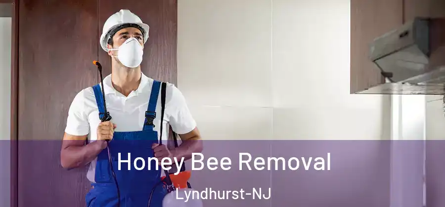  Honey Bee Removal Lyndhurst-NJ