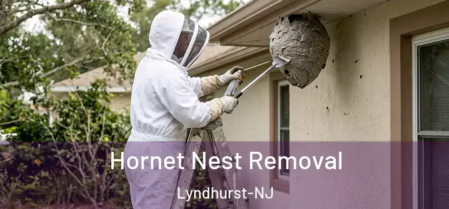 Hornet Nest Removal Lyndhurst-NJ