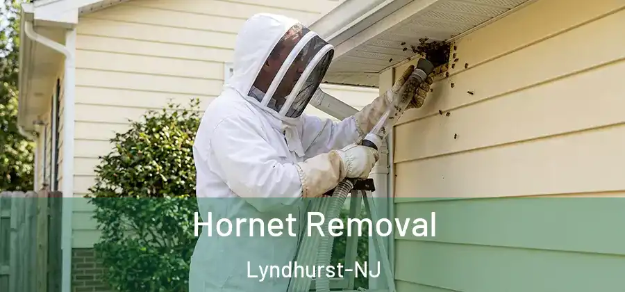  Hornet Removal Lyndhurst-NJ