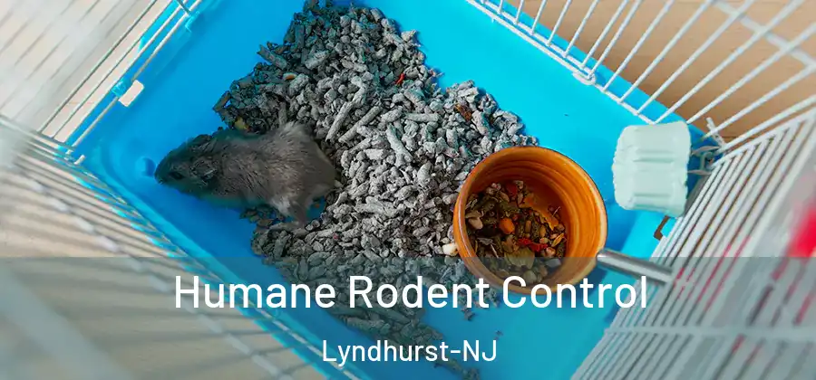 Humane Rodent Control Lyndhurst-NJ