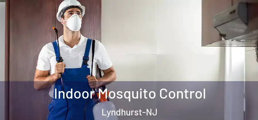  Indoor Mosquito Control Lyndhurst-NJ