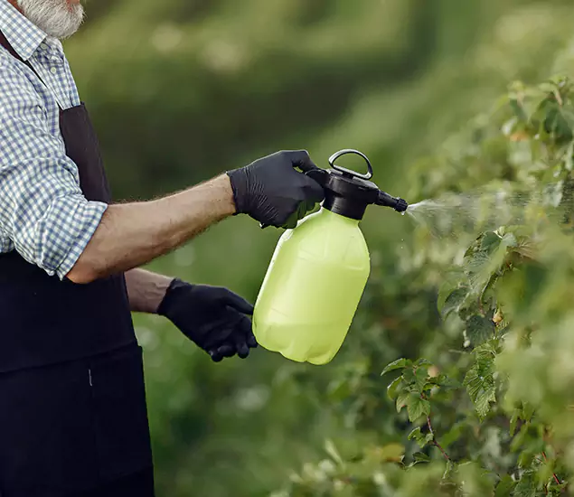 Your Proven Mosquito Treatment Company in Lyndhurst, NJ