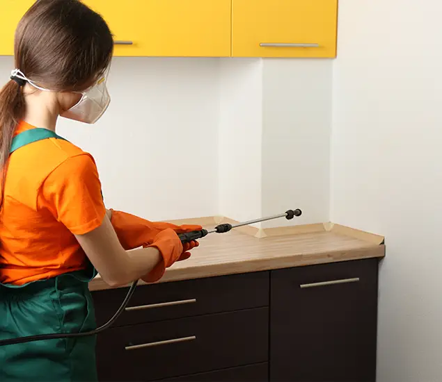Trusted Bed Bug Pest Control Specialist in Lyndhurst, NJ