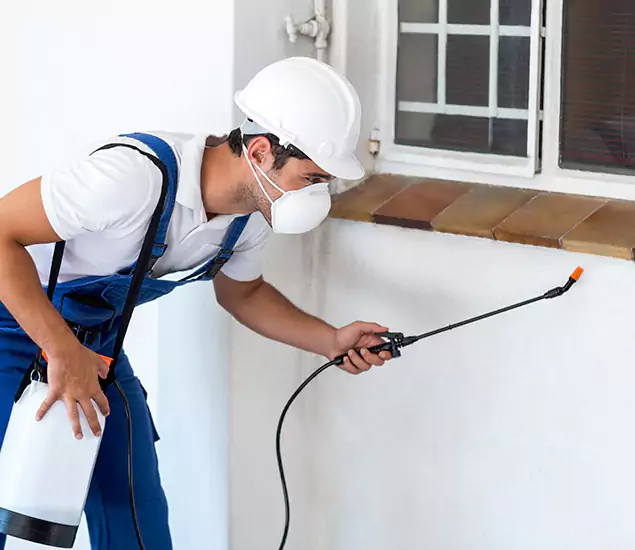 Your Professional Cockroach Exterminator in Lyndhurst, NJ
