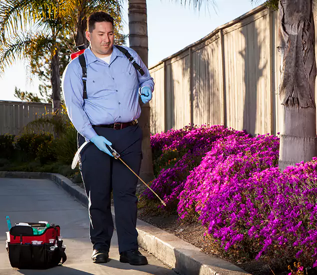 About Our Eco Safe Pest Control Experts in Lyndhurst, NJ