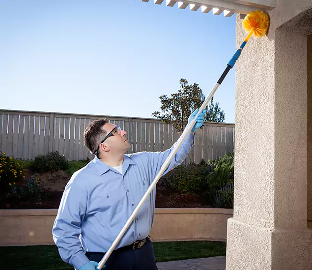 Trusted Experts in Lyndhurst NJ for Formosan Termite Treatment and Black Termite Control