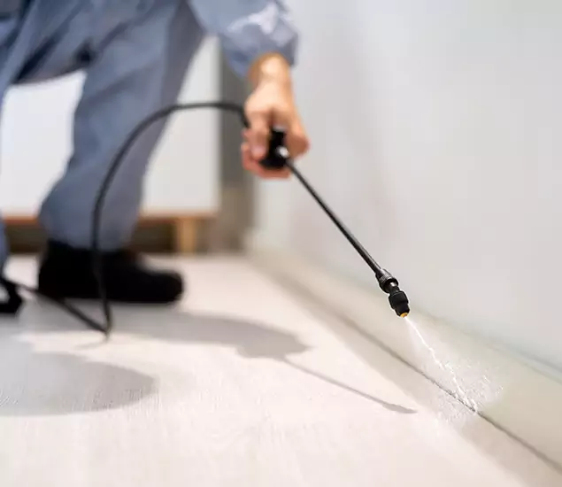 About Our Liquid Termite Treatment Experts in Lyndhurst, NJ