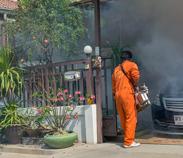 Your Proven Mosquito Fogging Company in Lyndhurst, NJ