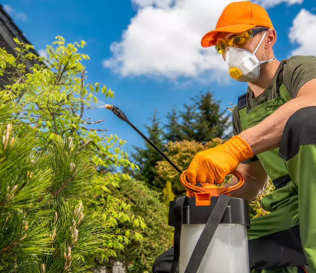 Your Best Bug Spray for Home Team in Lyndhurst, NJ