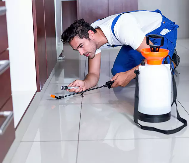 Reliable Professional Mouse Removal: Your Best Mouse Control Company in Lyndhurst, NJ
