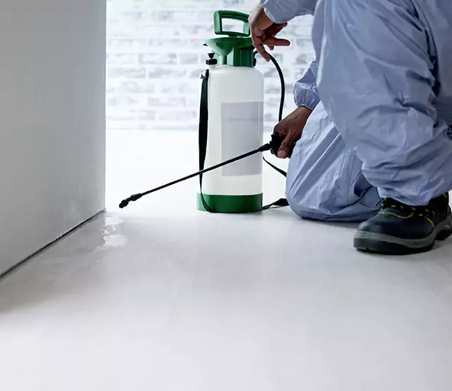 Affordable Pest Control Experts in Lyndhurst, NJ