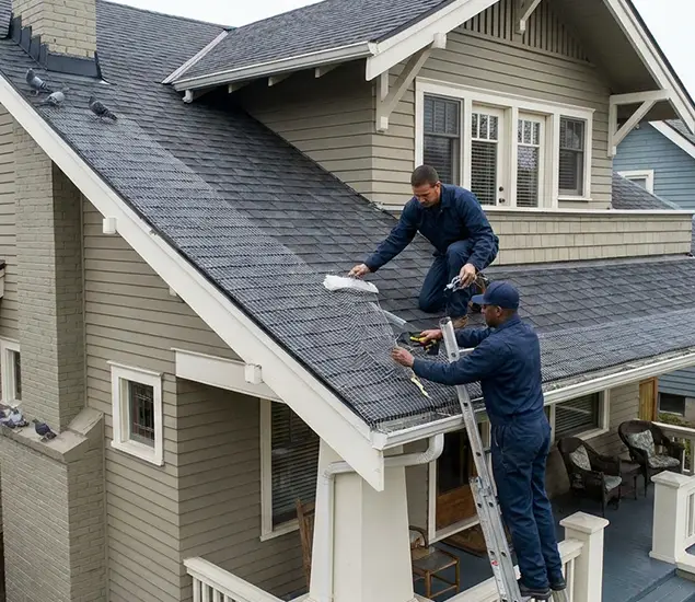 Your Pigeon Control Experts in Lyndhurst, NJ