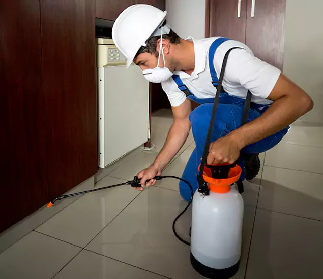 Advanced Termite Pre Treatment Experts in Lyndhurst, NJ
