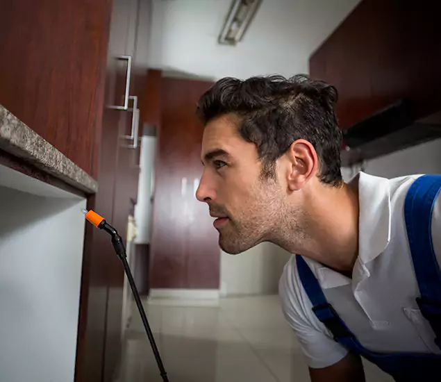 Expert Rodent in Attic Removal: Your Proven Pest Specialists in Lyndhurst, NJ