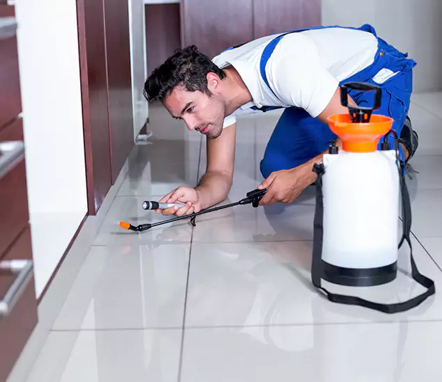 Advanced Slab Termite Treatment Experts You Can Trust&nbsp;in Lyndhurst, NJ