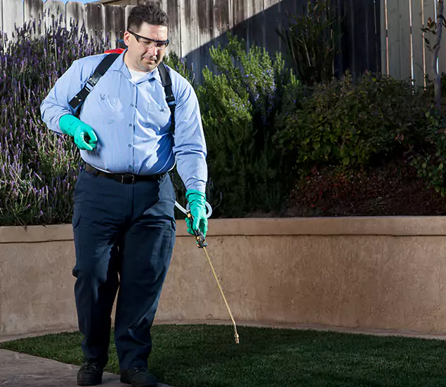 Reliable Termite Barrier Treatment Experts in Lyndhurst, NJ