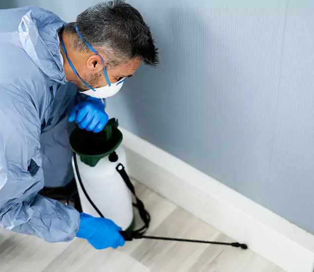 Reliable Termite Cost Experts in Lyndhurst, NJ