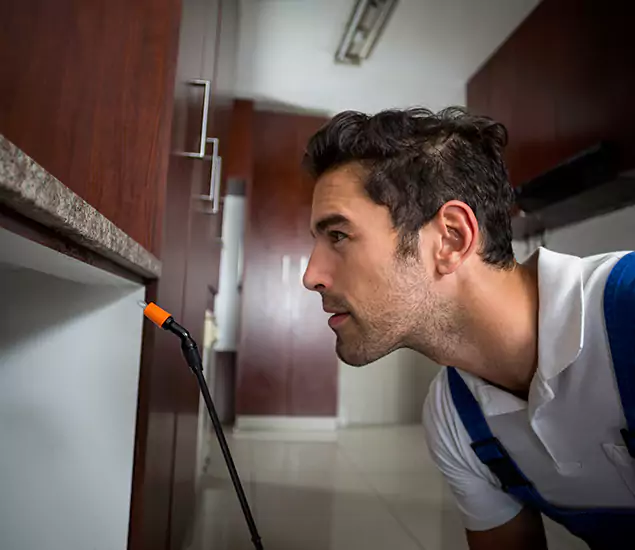 Termite Inspection Cost Experts You Can Trust in Lyndhurst, NJ