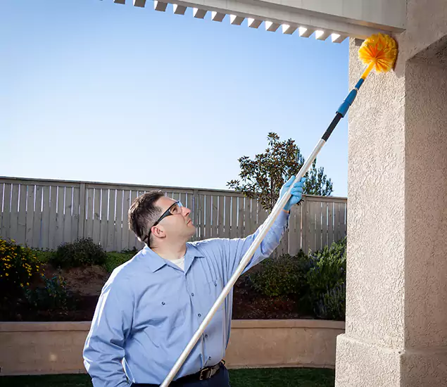 Your Trusted Wasp Removal Company in Lyndhurst, NJ